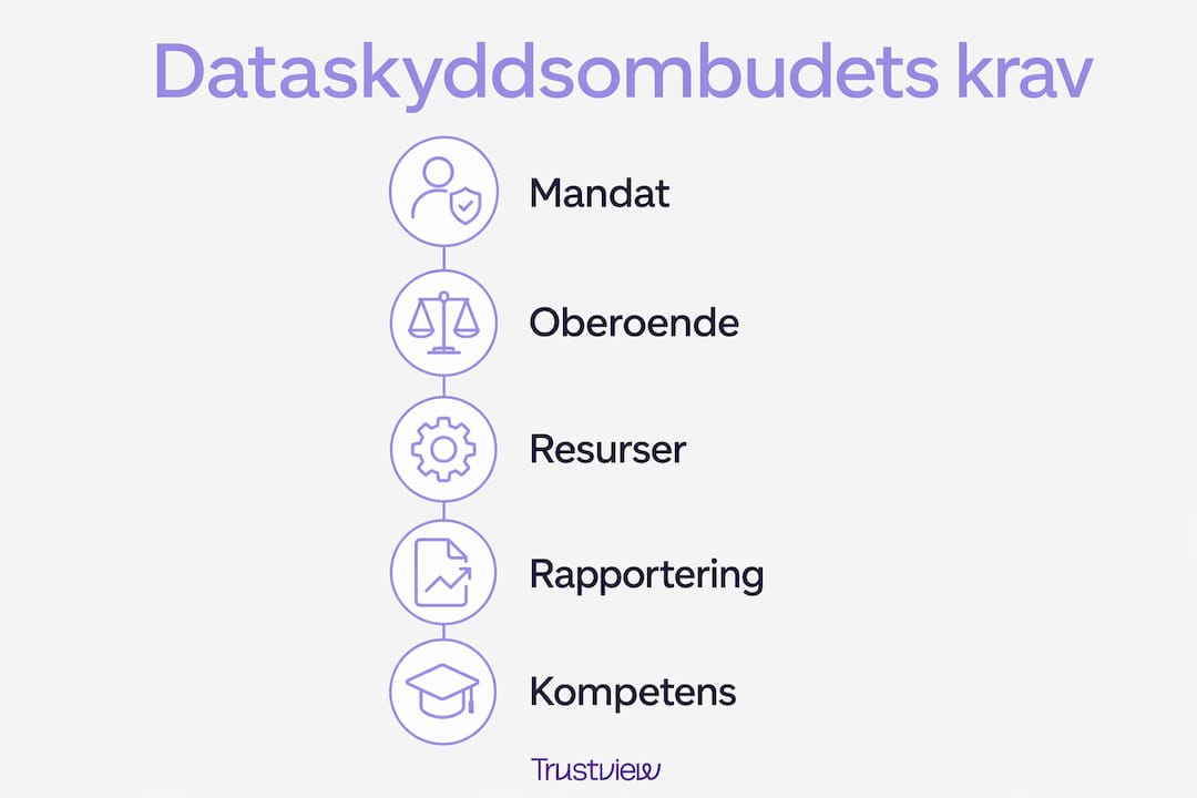 Grafisk översikt som visar vilka krav som ställs på dataskyddsombudet