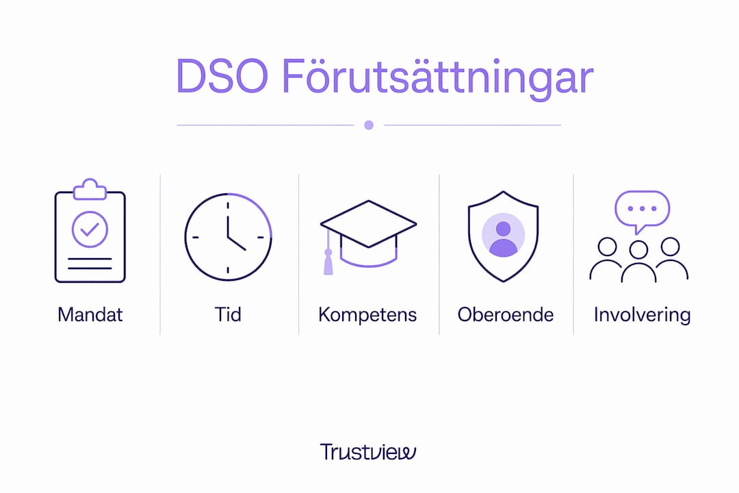 Visuell guide: Viktiga förutsättningar för rollen som dataskyddsombud