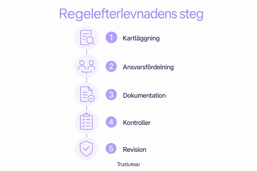 Infografik som visar de olika stegen i svenska företags regelefterlevnadsarbete