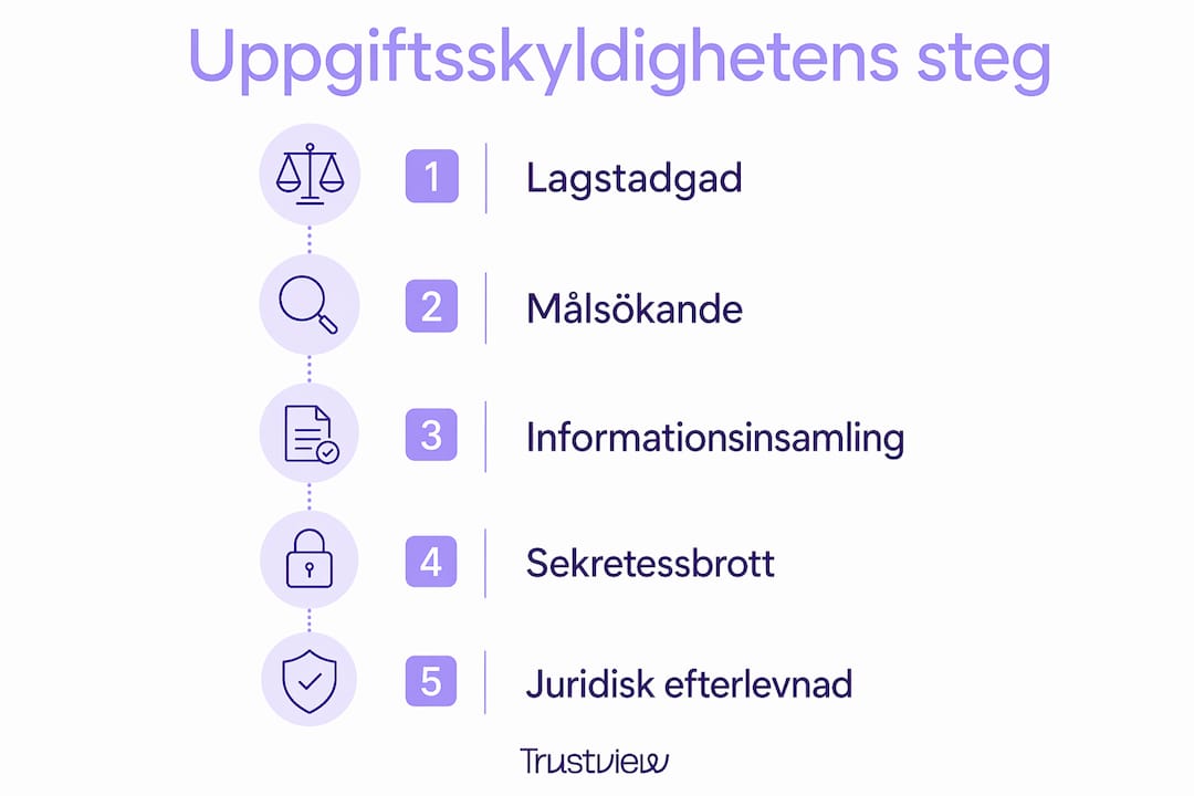 Vertikal informationsgrafik som steg för steg visar hur uppgiftsskyldighet går till
