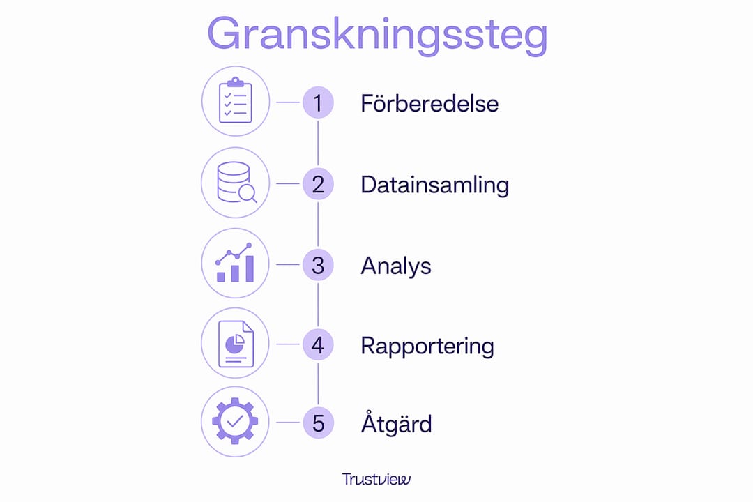 En överskådlig infografik som förklarar de olika stegen i granskningen av registerhantering