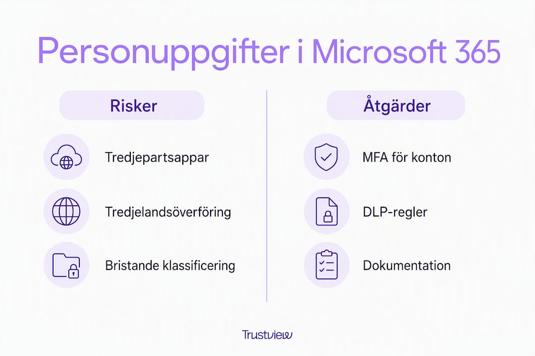 En överskådlig grafik som belyser vanliga risker för personuppgifter och visar konkreta sätt att skydda dem.