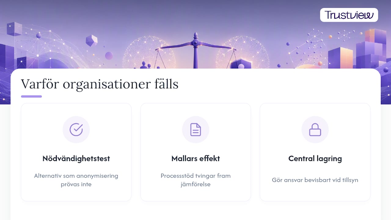 Författarperspektiv: vad som faktiskt fäller organisationer vid tillsyn — overview diagram
