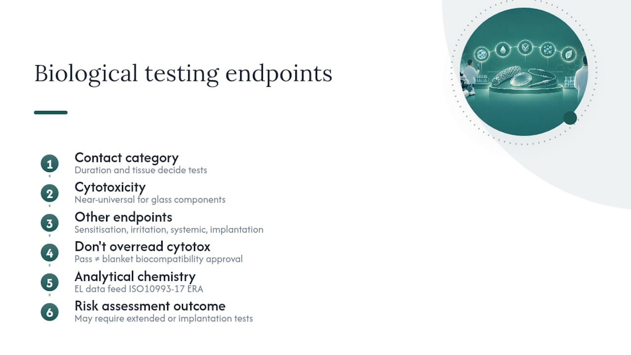 Biological testing endpoints for glass and what results actually tell you — overview diagram