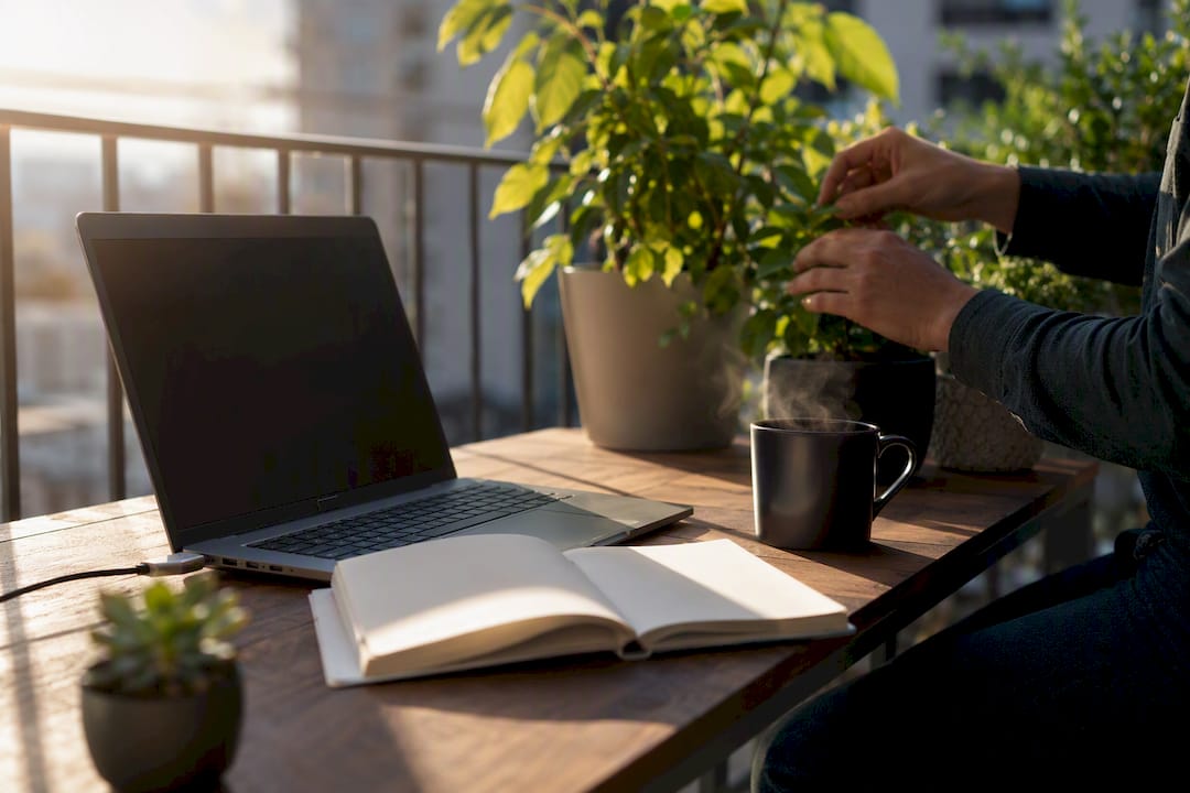 Workspace implying multitasking SEO efforts