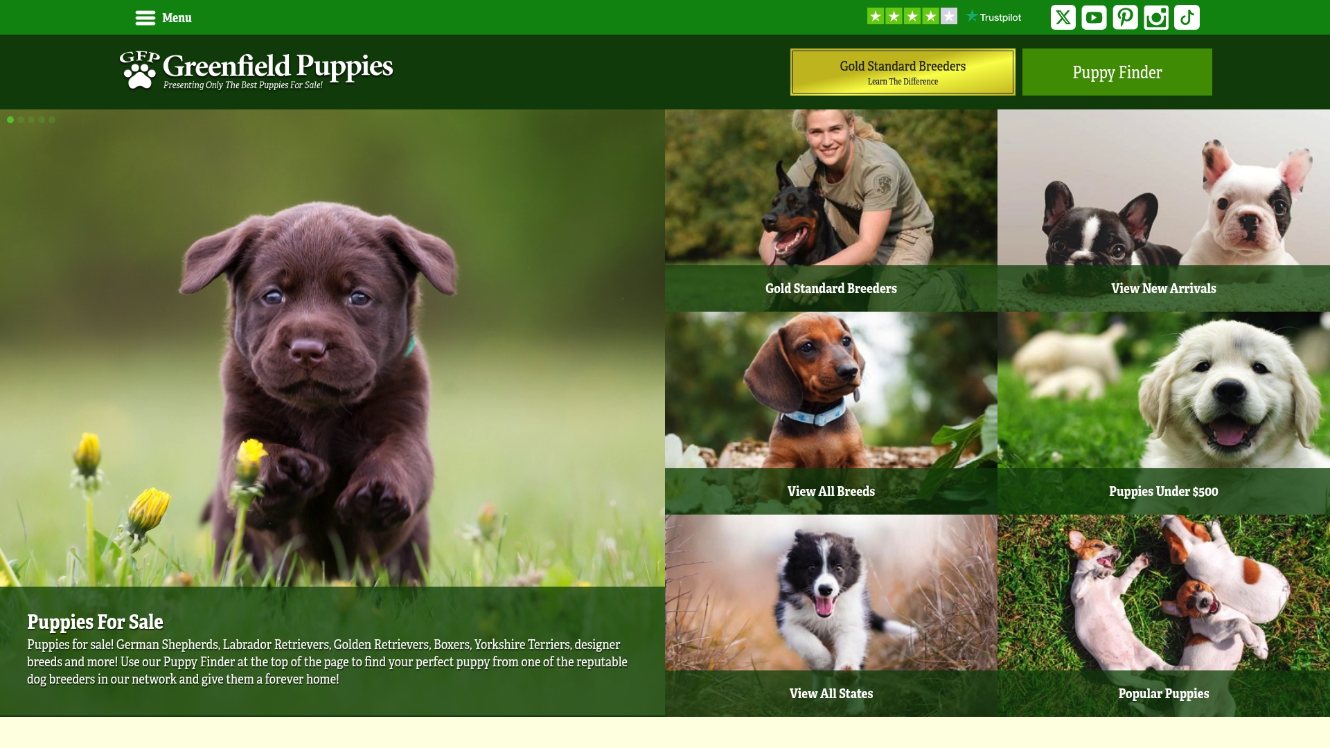 https://greenfieldpuppies.com