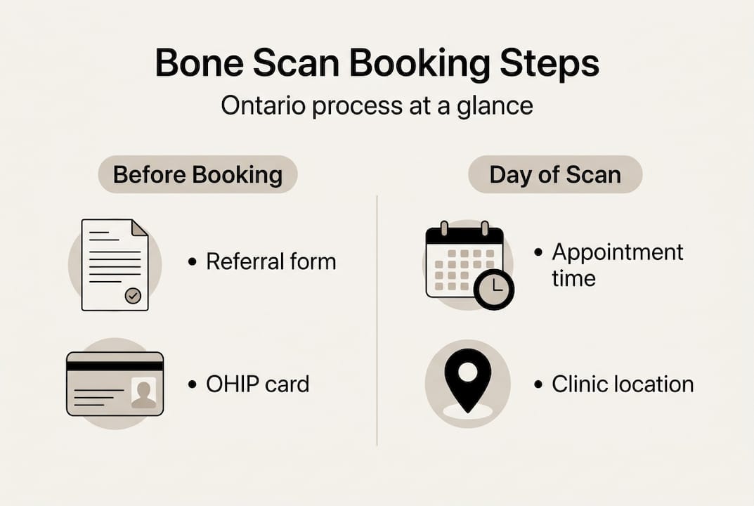 Infographic booking steps and preparation overview