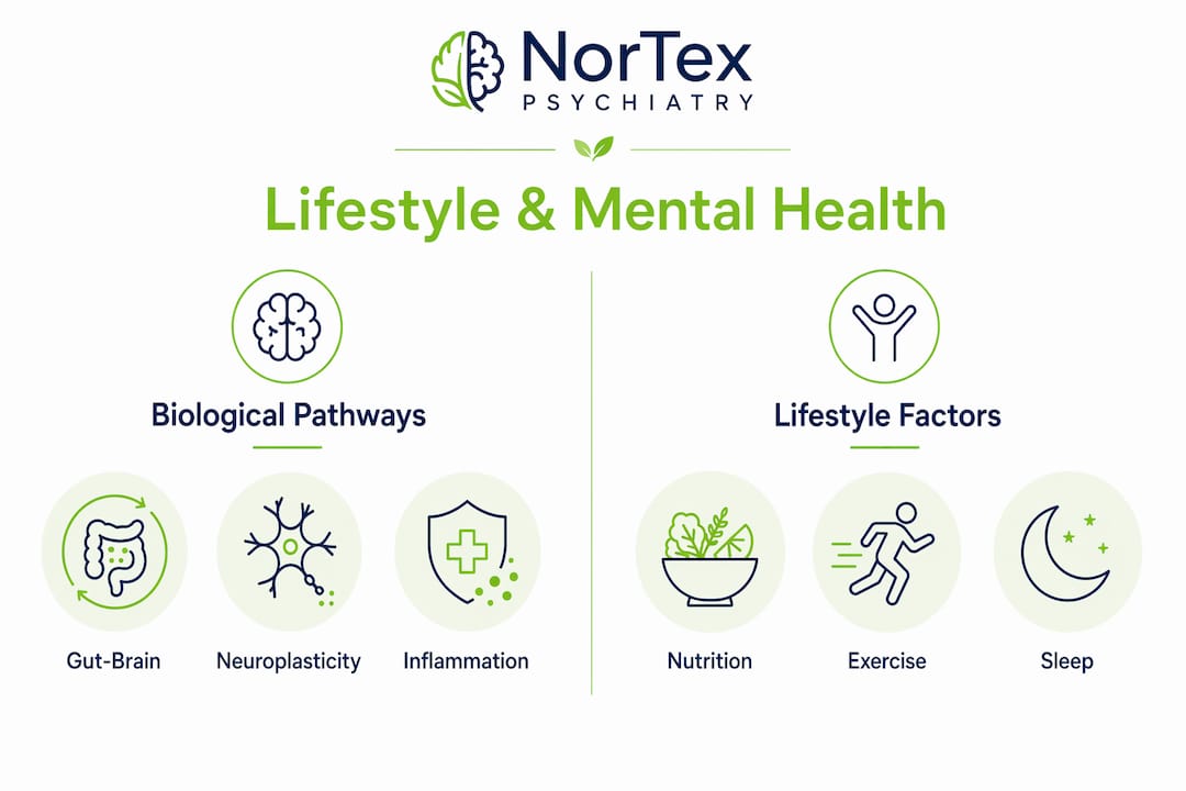 Infographic illustrating lifestyle factors and biological pathways