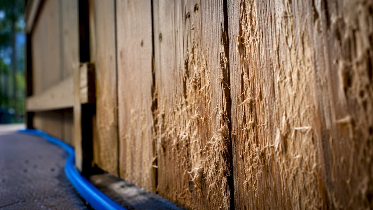 Close-up of wood fibres damaged by pressure washing