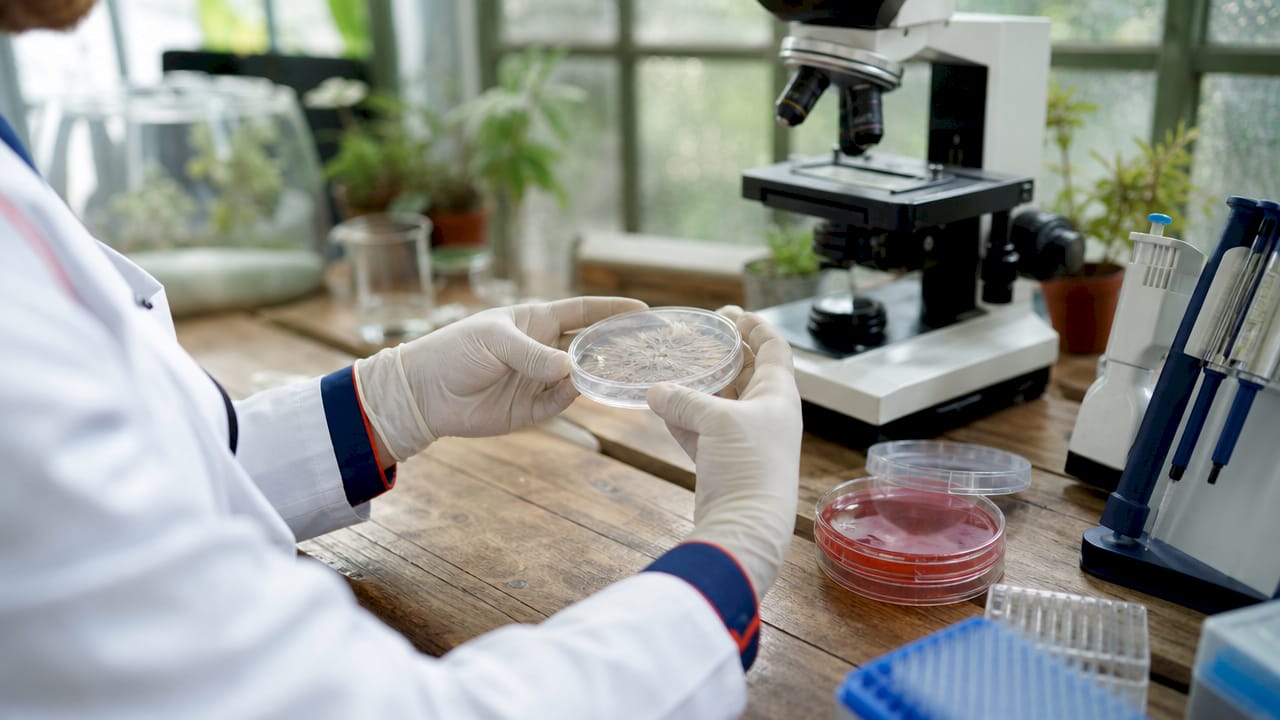 Researcher’s gloved hands holding petri dish with stem cells