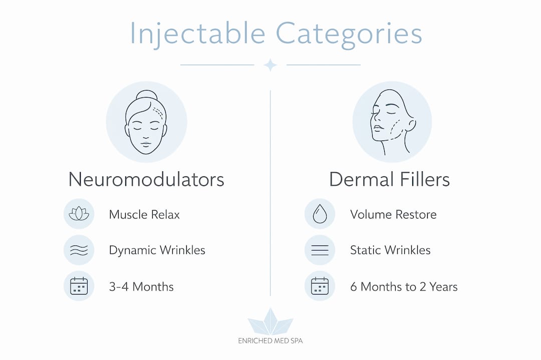 Infographic comparing neuromodulators and dermal fillers