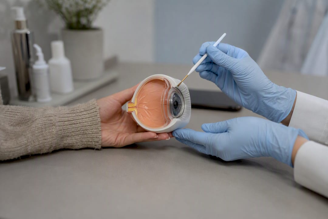 Clinician demonstrating eyelash serum application on anatomical model