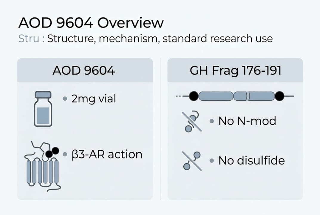 Infographic comparing AOD 9604 and GH Fragment 176-191