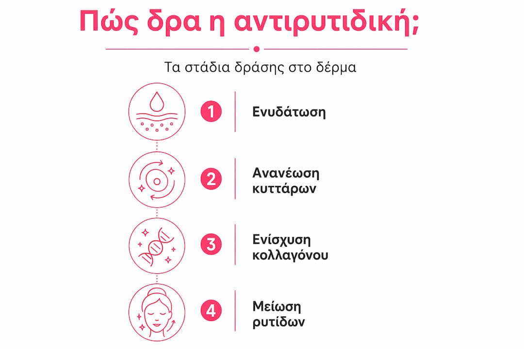 Εικονογραφημένη παρουσίαση των βασικών σταδίων δράσης μιας αντιρυτιδικής κρέμας