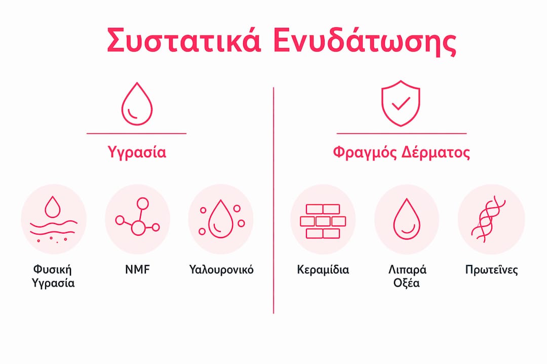 Γραφικό με σύγκριση των βασικών συστατικών ενυδάτωσης της επιδερμίδας