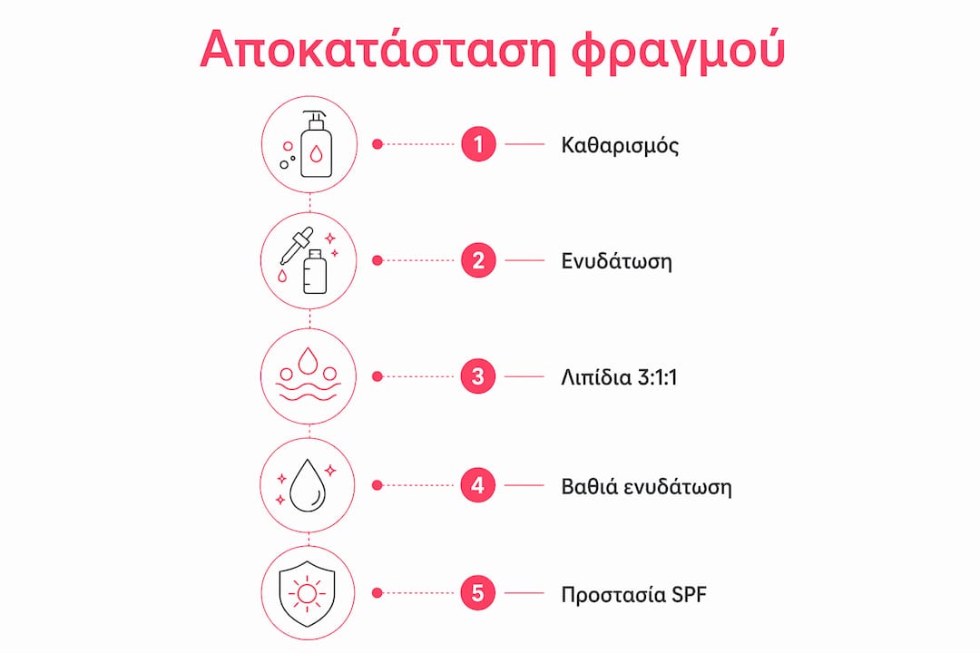 Το infographic παρουσιάζει τα πέντε βασικά βήματα για την αποκατάσταση του δερματικού φραγμού.