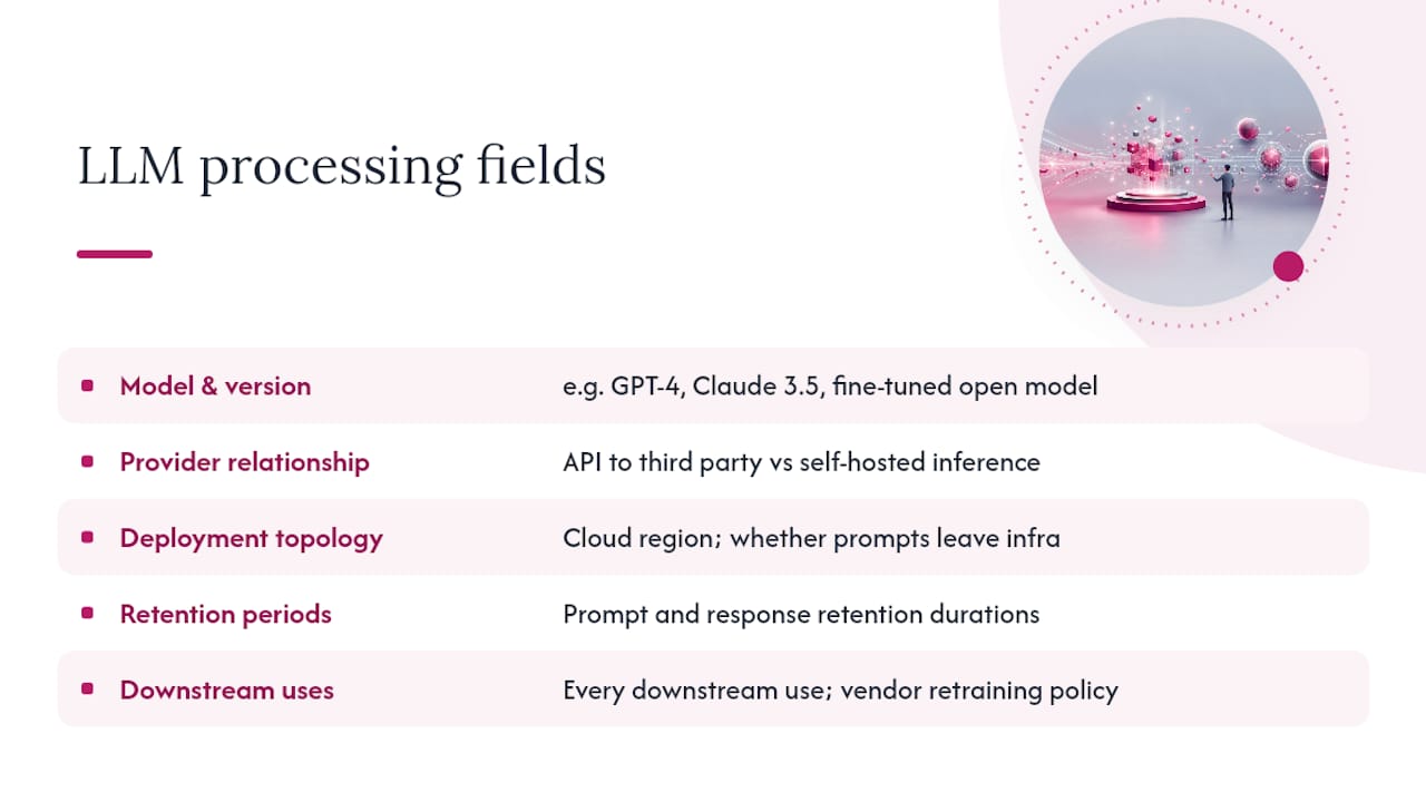 Five fields in an LLM processing description