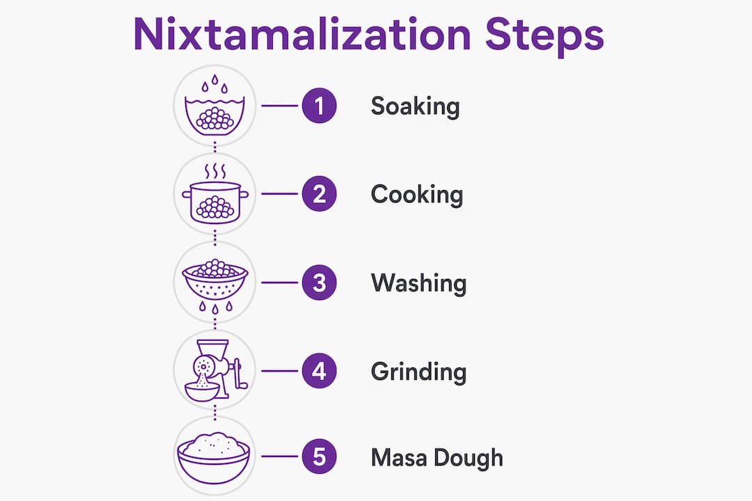 Infographic illustrating nixtamalization process steps