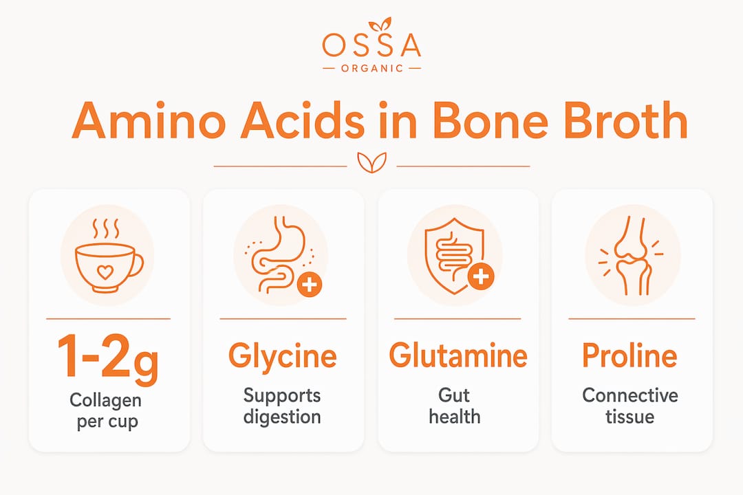 Infographic showing amino acid benefits in bone broth