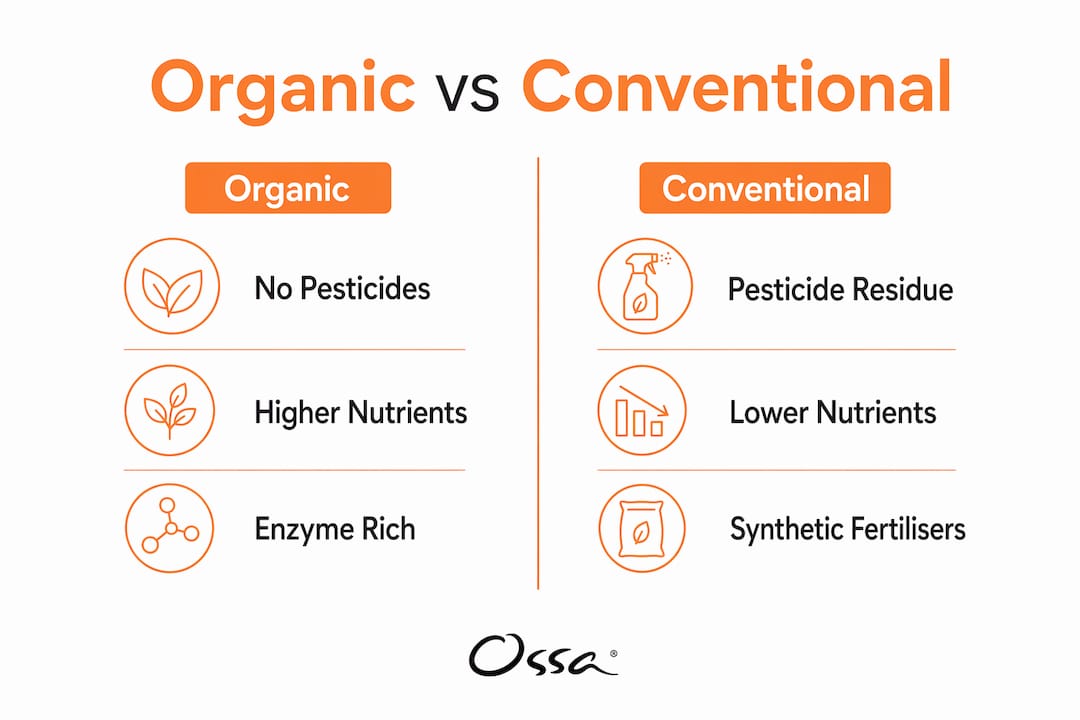 Infographic comparing organic and conventional produce for gut health