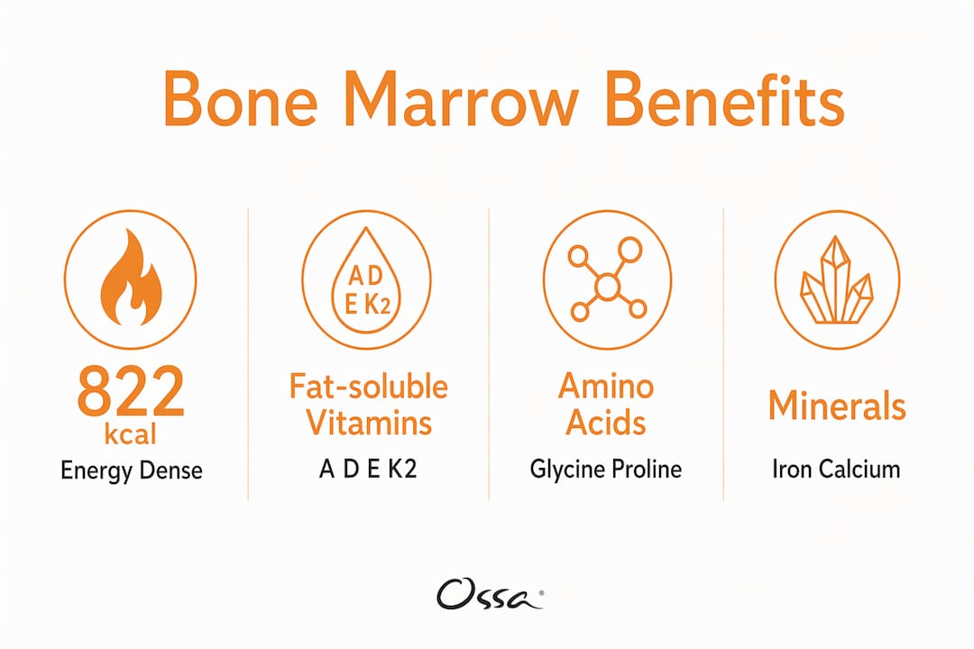 Infographic illustrating bone marrow nutrition benefits