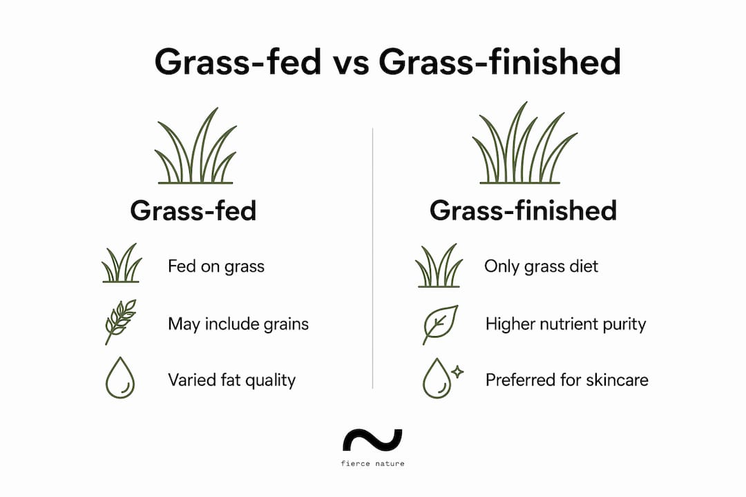 Infographic comparing grass-fed and grass-finished tallow