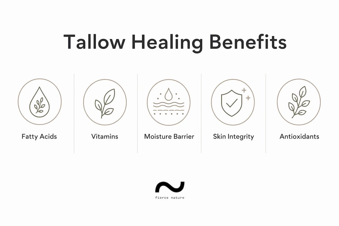 Infographic illustrating tallow’s key wound healing benefits