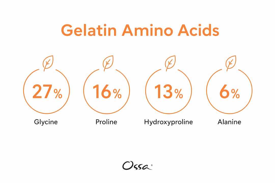 Infographic displaying key amino acids in organic gelatin