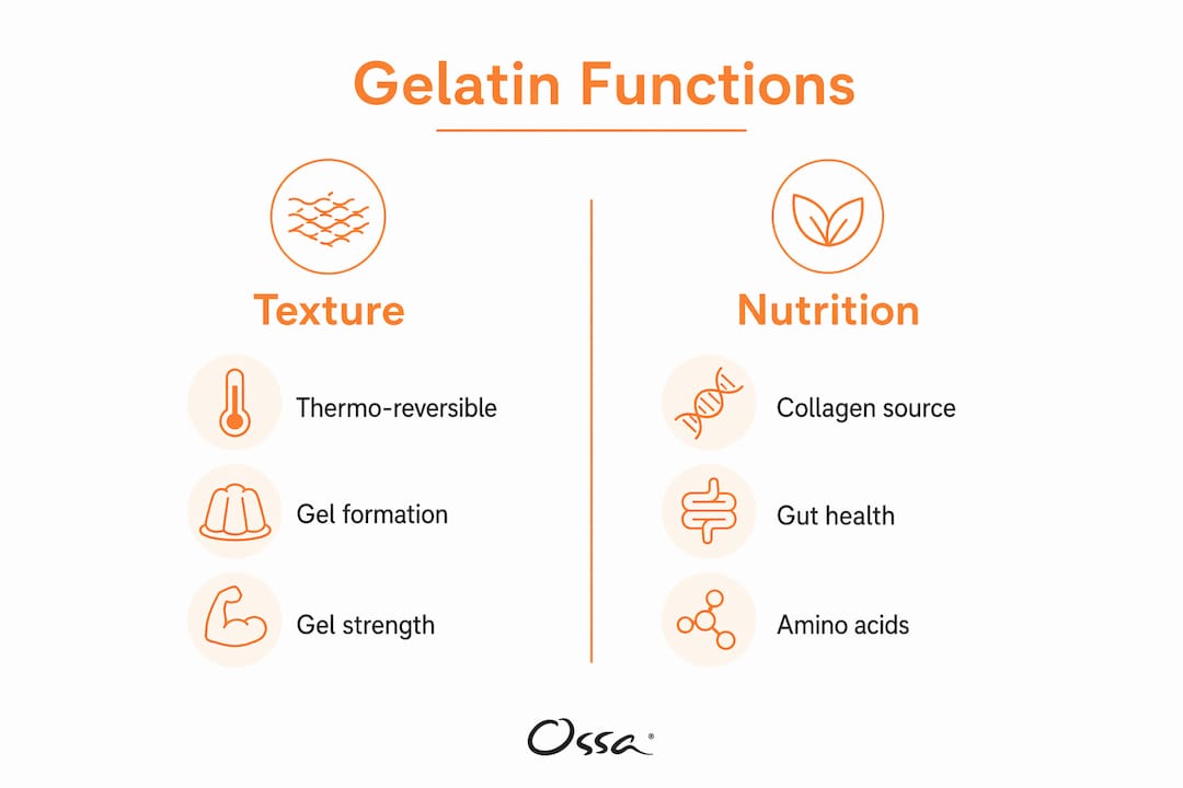 Infographic showing gelatin's texture and nutrition functions