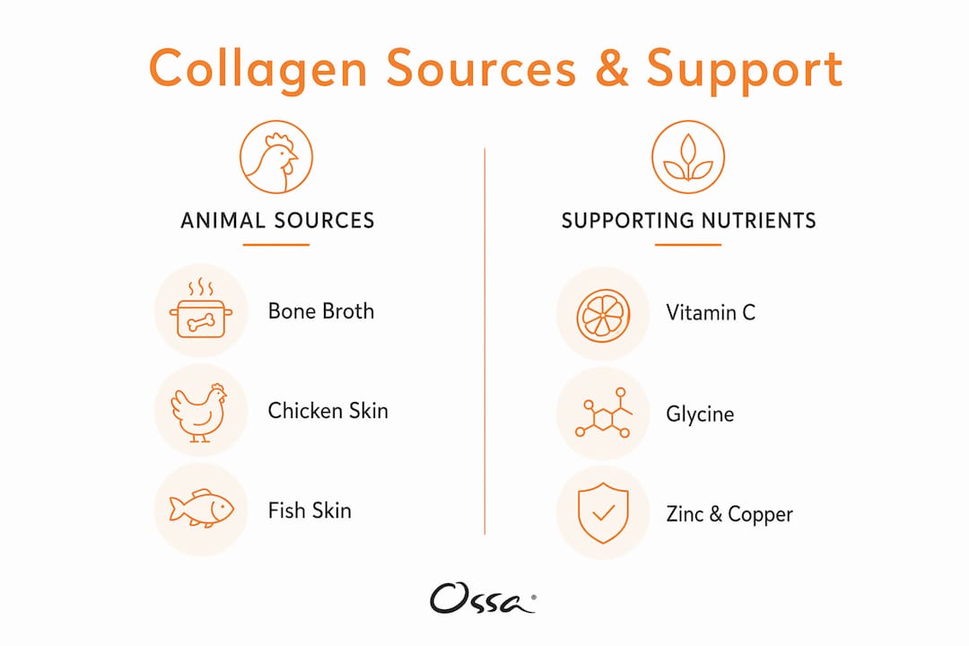 Infographic showing collagen sources and key supporting nutrients