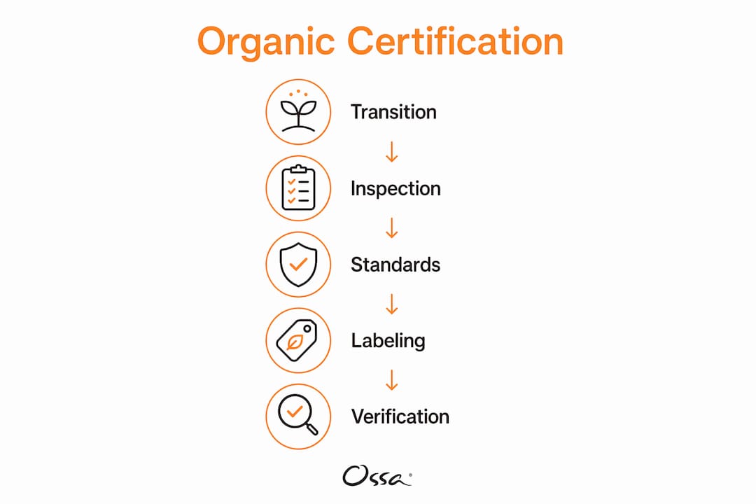 Infographic showing organic certification process steps