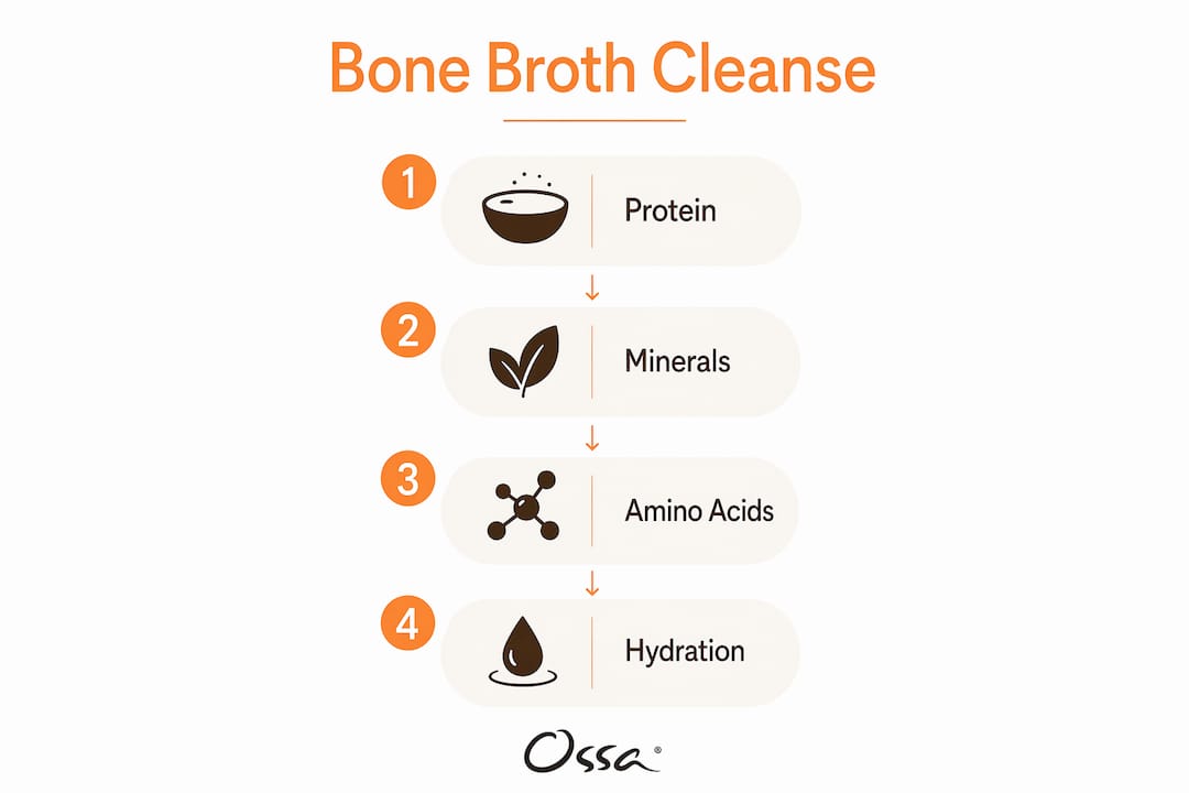 Infographic illustrating bone broth cleanse benefits steps