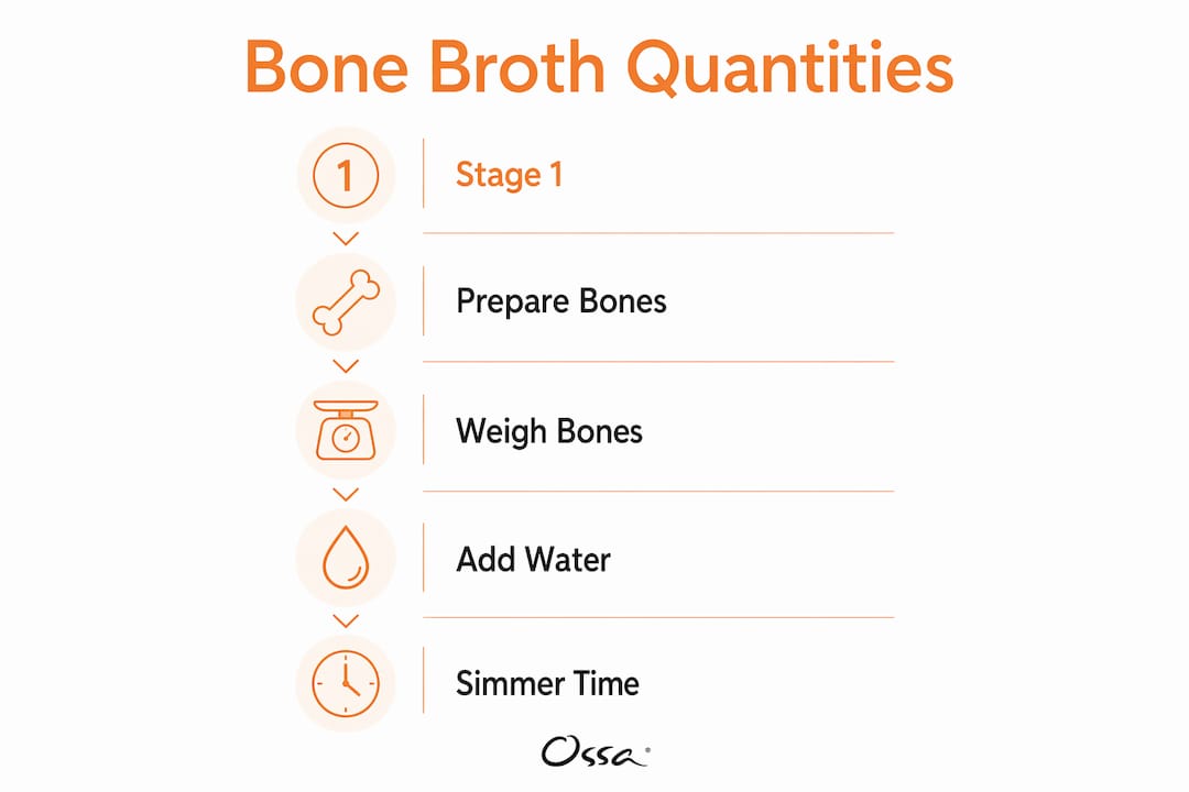 Infographic illustrating bone broth quantity and simmer steps