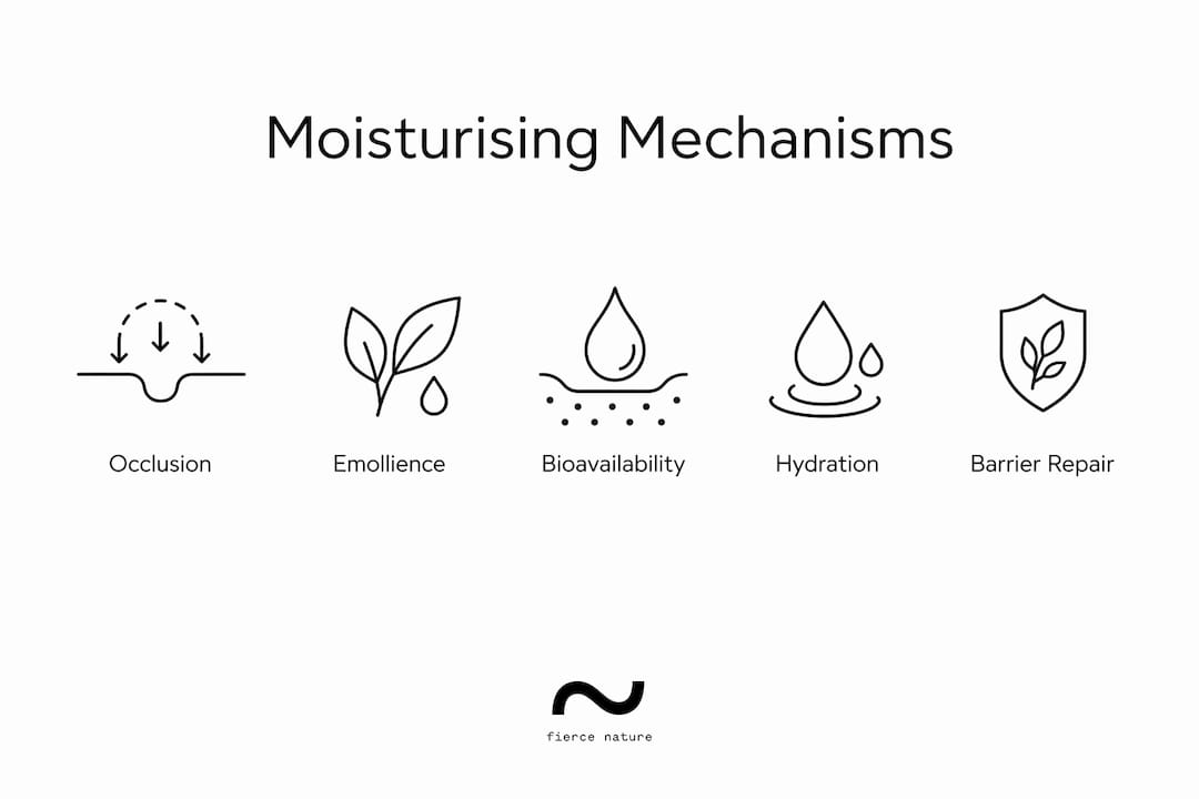 Infographic illustrating moisturising mechanisms of oil balms