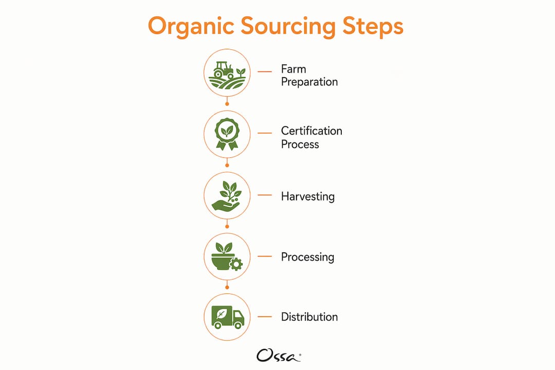 Infographic illustrating organic sourcing process through supply chain stages