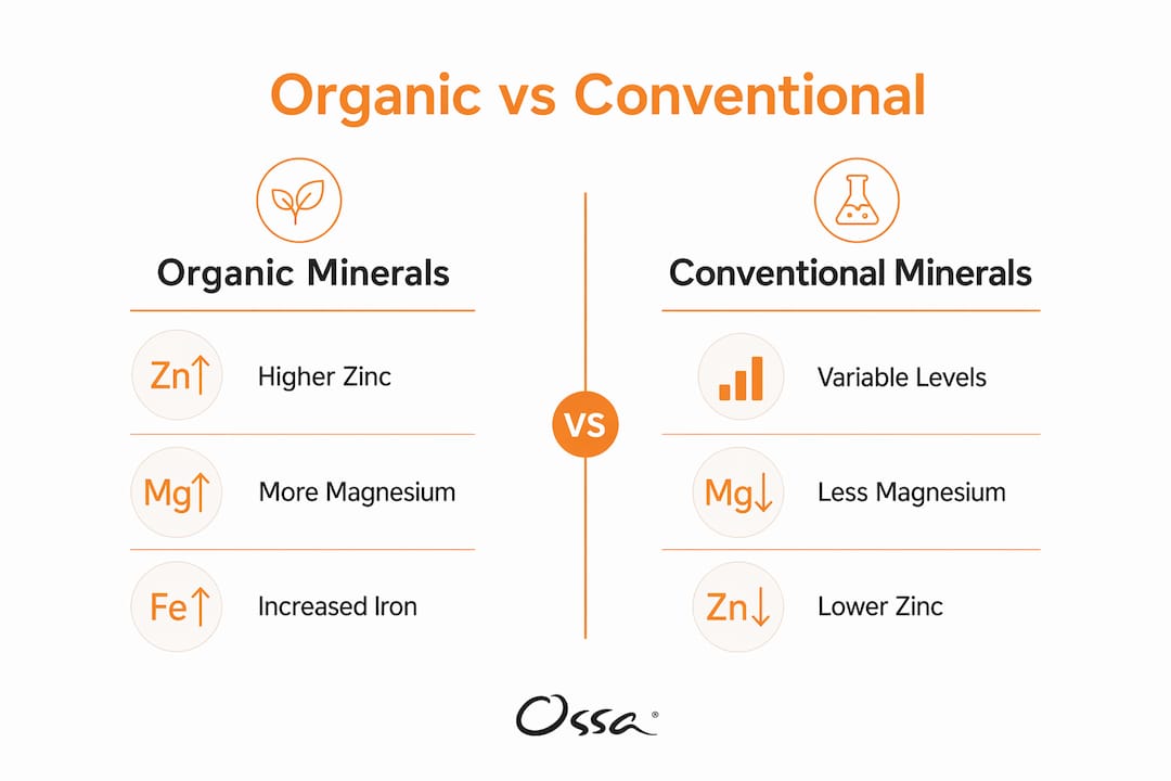 Comparative infographic of mineral content organic vs conventional foods
