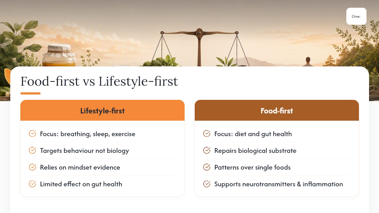 Why a food-first, gut-centred approach makes sense — overview diagram