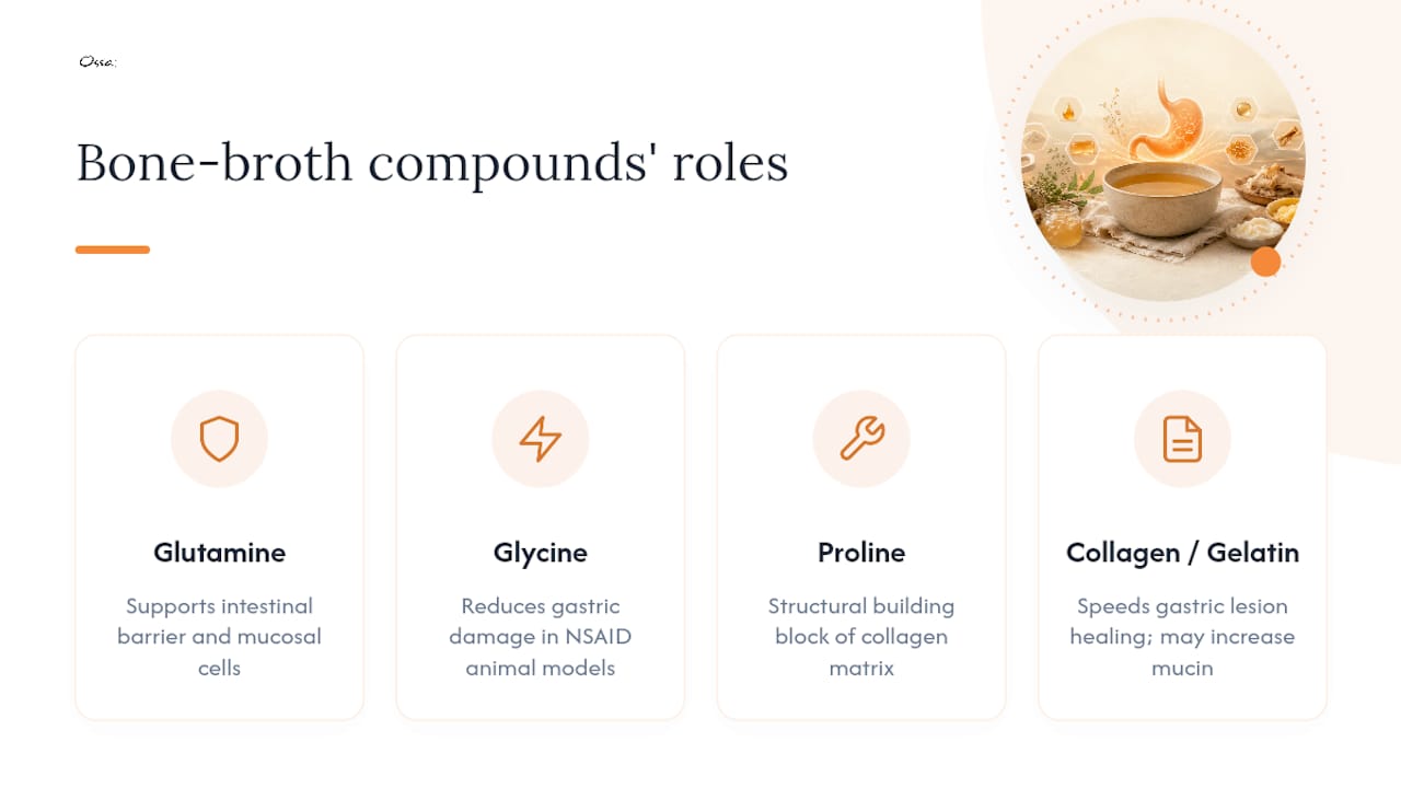 Diagram of bone broth compounds and gut health roles