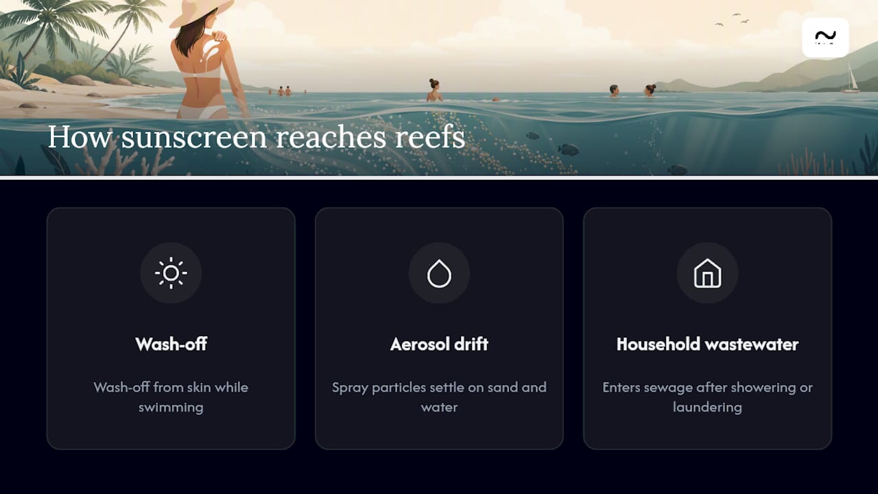 Three routes sunscreen chemicals reach reefs