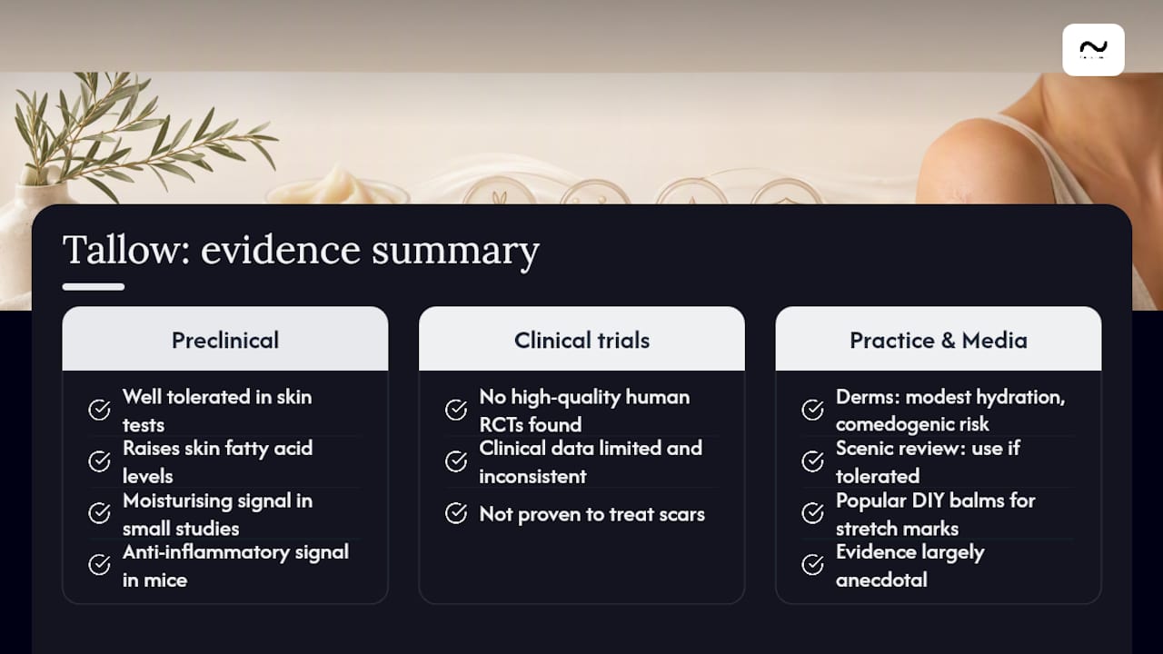 What does the research actually say about tallow and scars? — overview diagram
