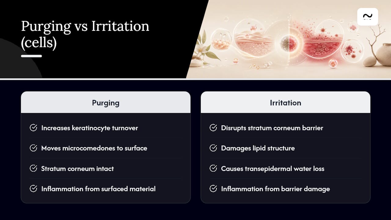 What's happening at the cell level during purging and irritation — overview diagram