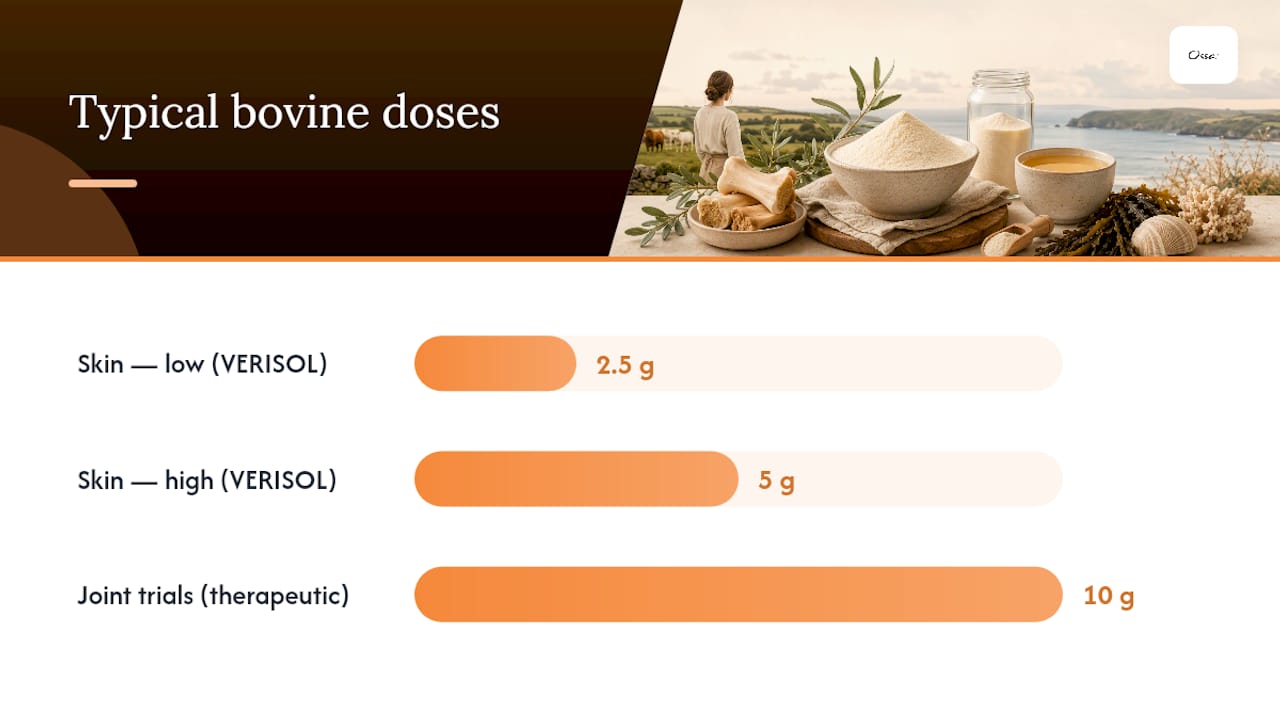 Bovine collagen: source, composition and the evidence behind it — overview diagram