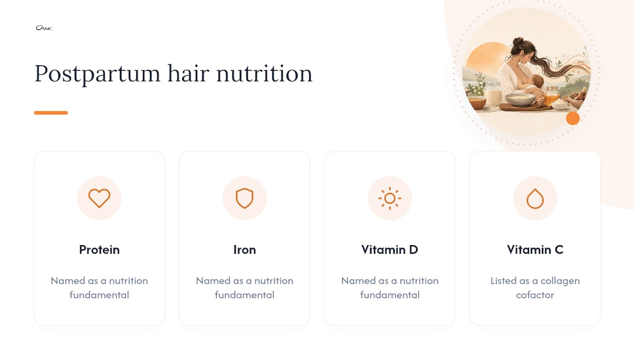 Four nutritional foundations for hair recovery