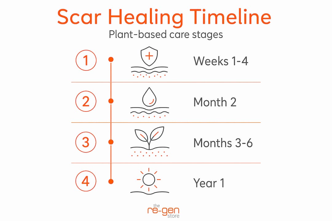 Infographic showing scar healing timeline and stages