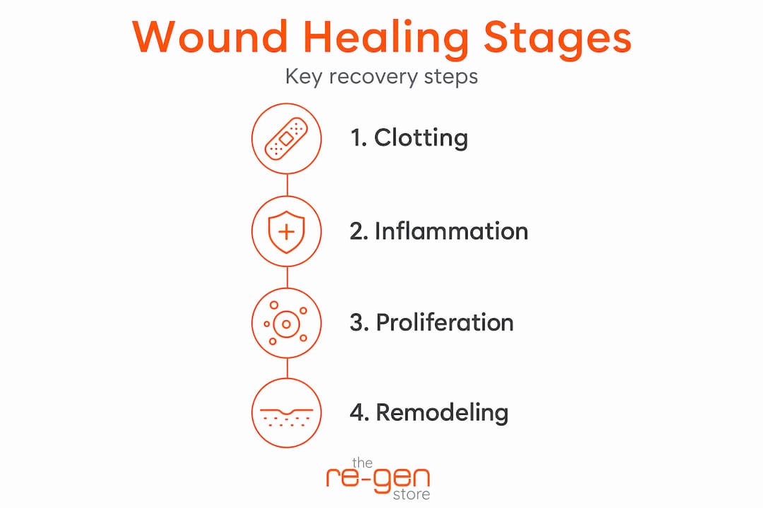Vertical flow infographic of wound healing stages
