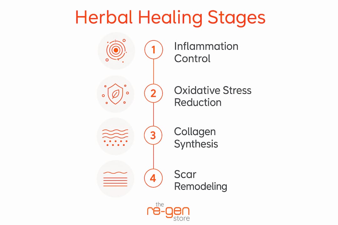 Infographic illustrating wound healing stages