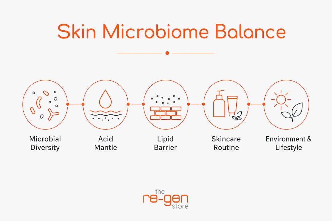 Infographic showing key factors for skin microbiome balance