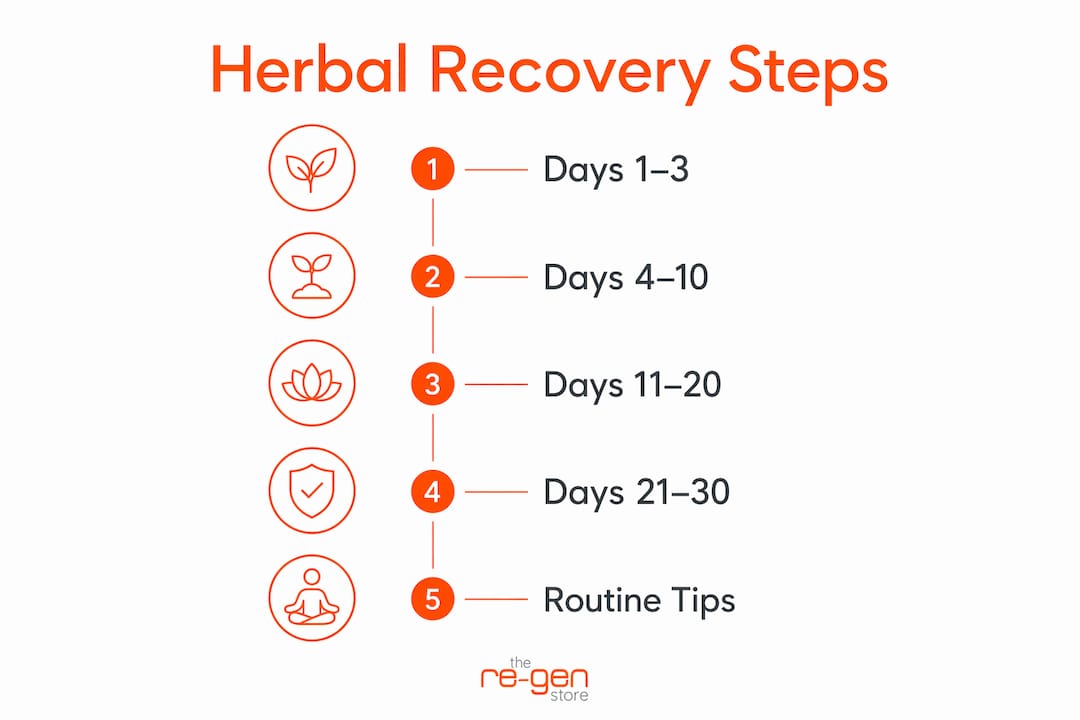 Infographic outlining herbal recovery steps