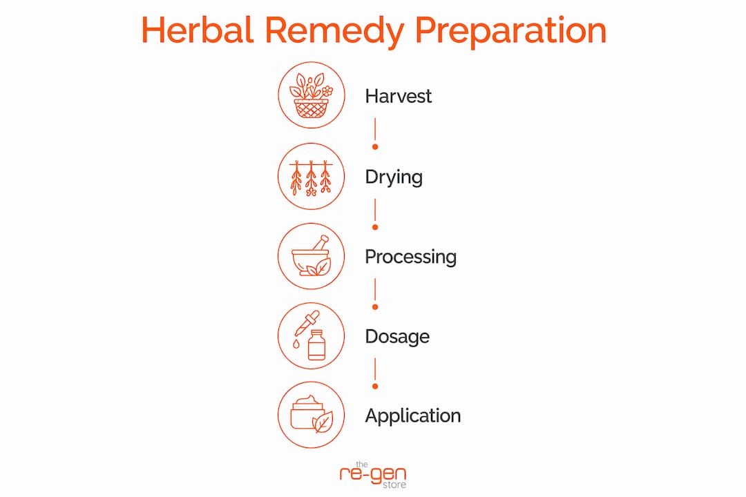 Infographic showing steps of herbal remedy preparation