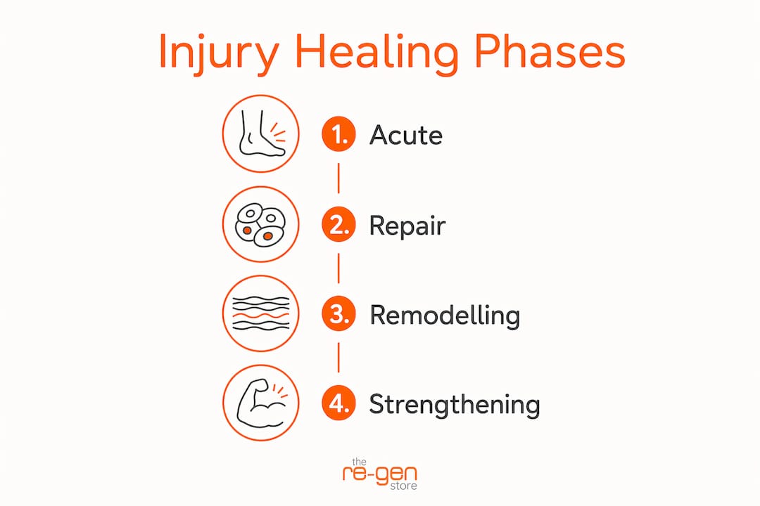 Infographic outlining four injury healing phases